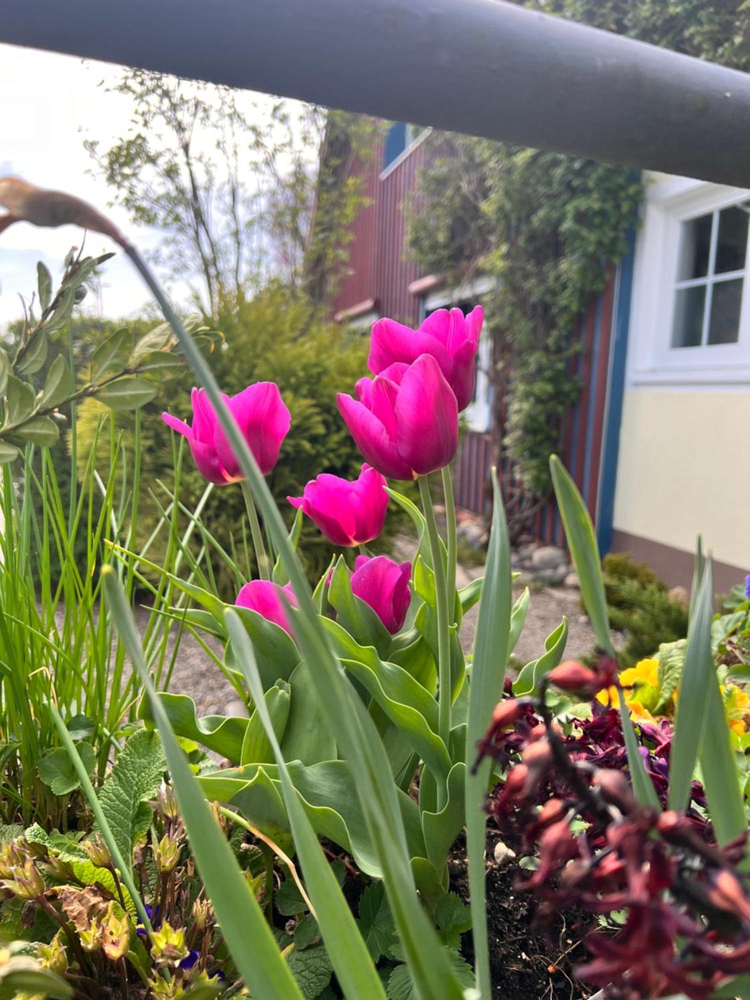 Am Flussgarten إيرسكيرش المظهر الخارجي الصورة