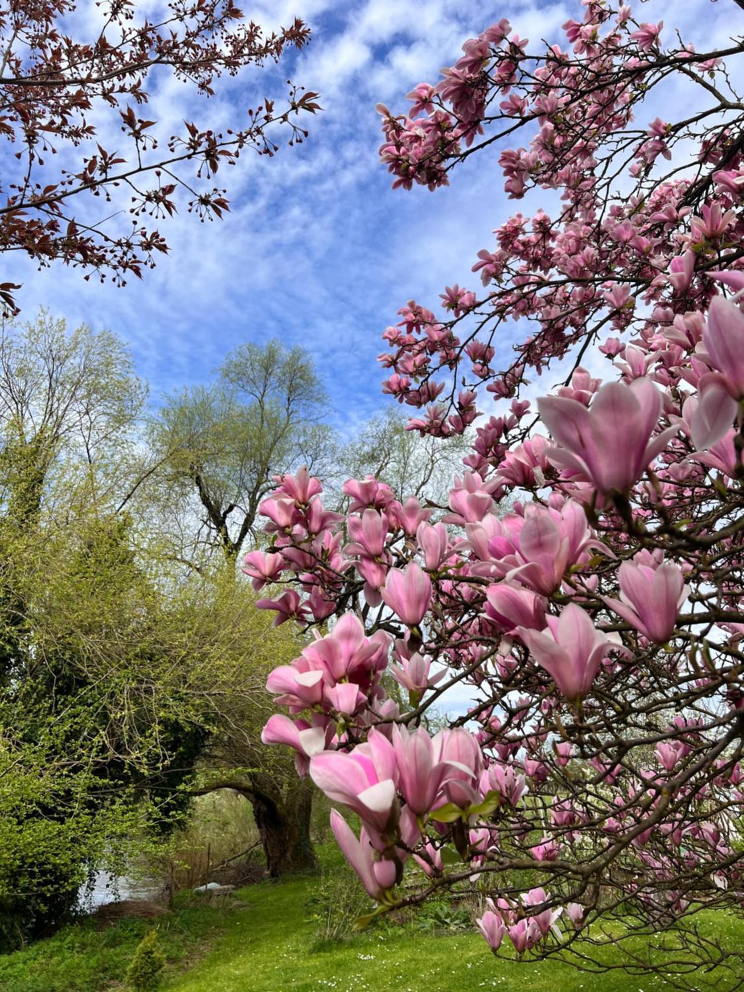 Am Flussgarten إيرسكيرش المظهر الخارجي الصورة