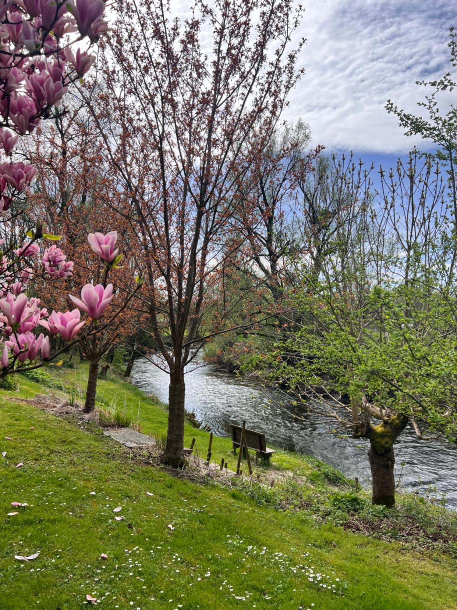 Am Flussgarten إيرسكيرش المظهر الخارجي الصورة