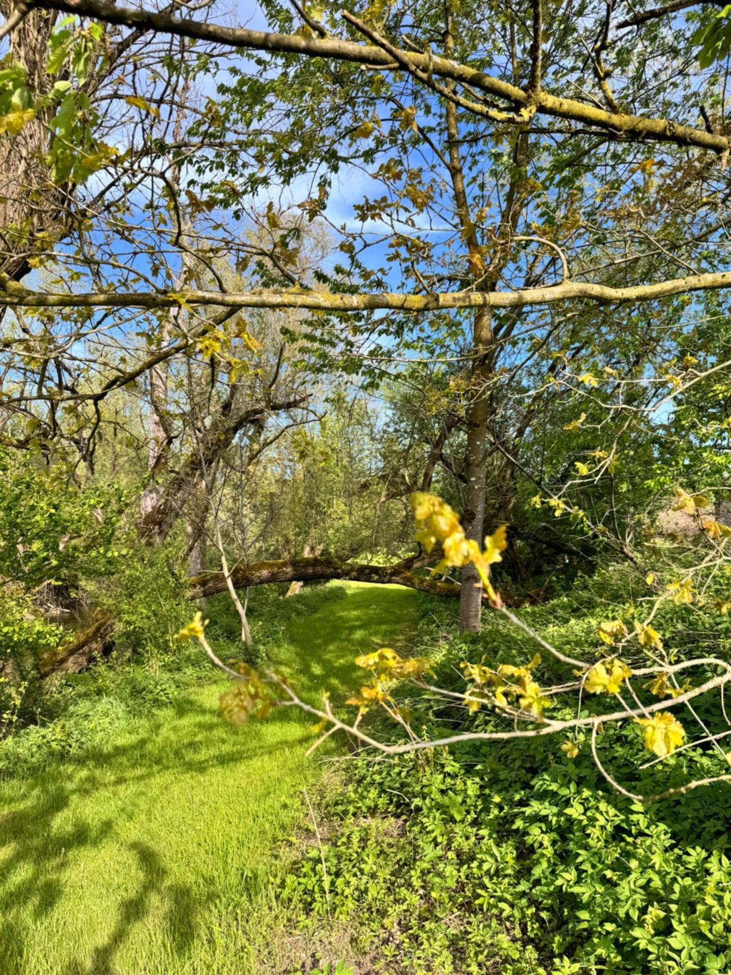 Am Flussgarten إيرسكيرش المظهر الخارجي الصورة