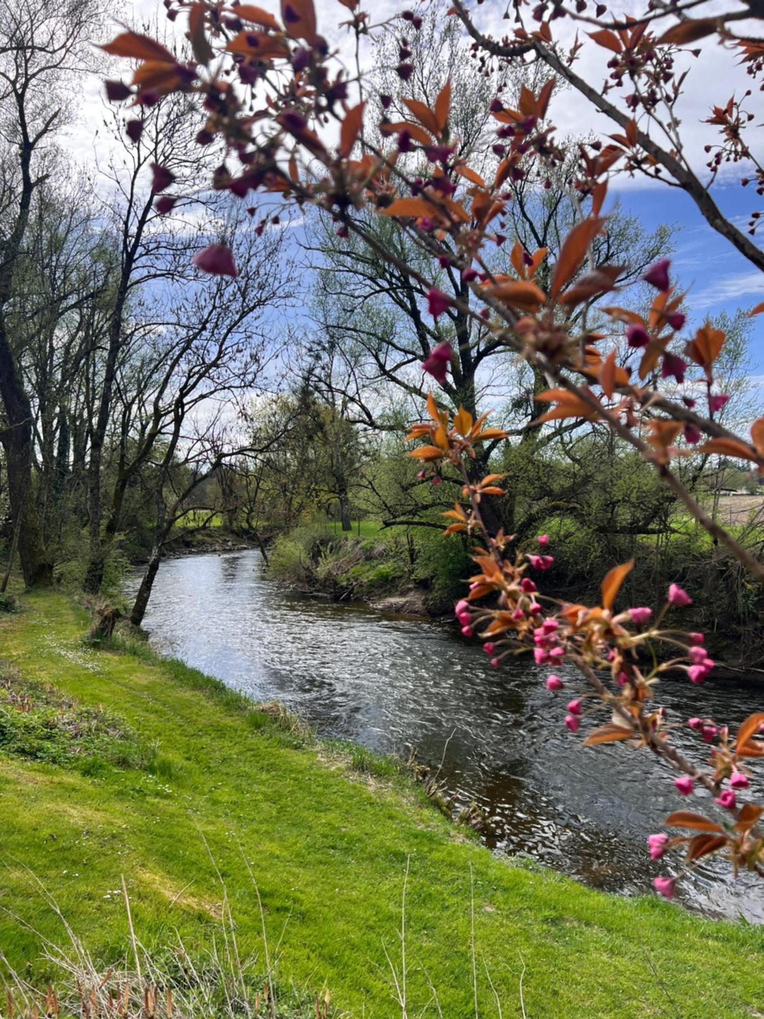 Am Flussgarten إيرسكيرش المظهر الخارجي الصورة