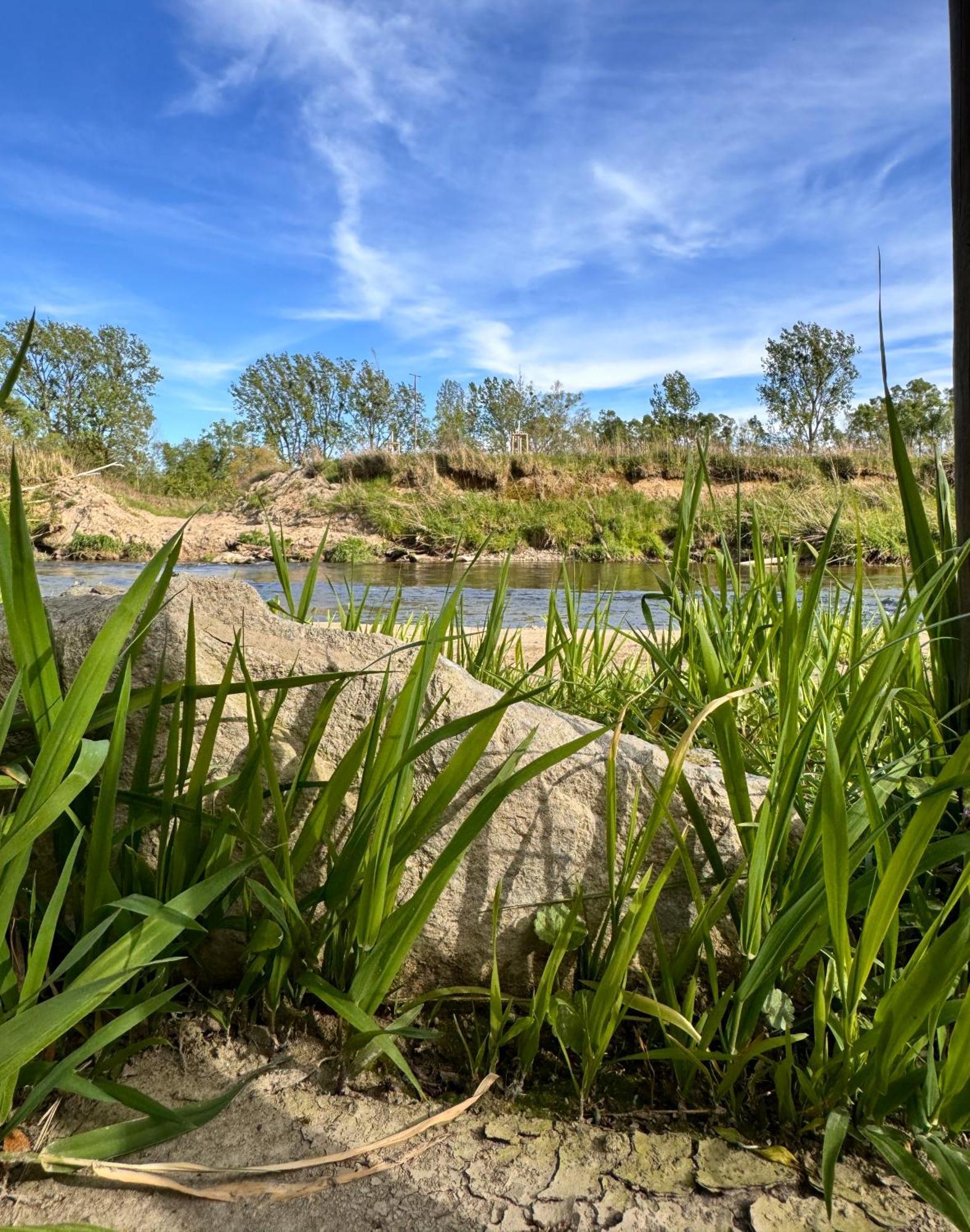 Am Flussgarten إيرسكيرش المظهر الخارجي الصورة