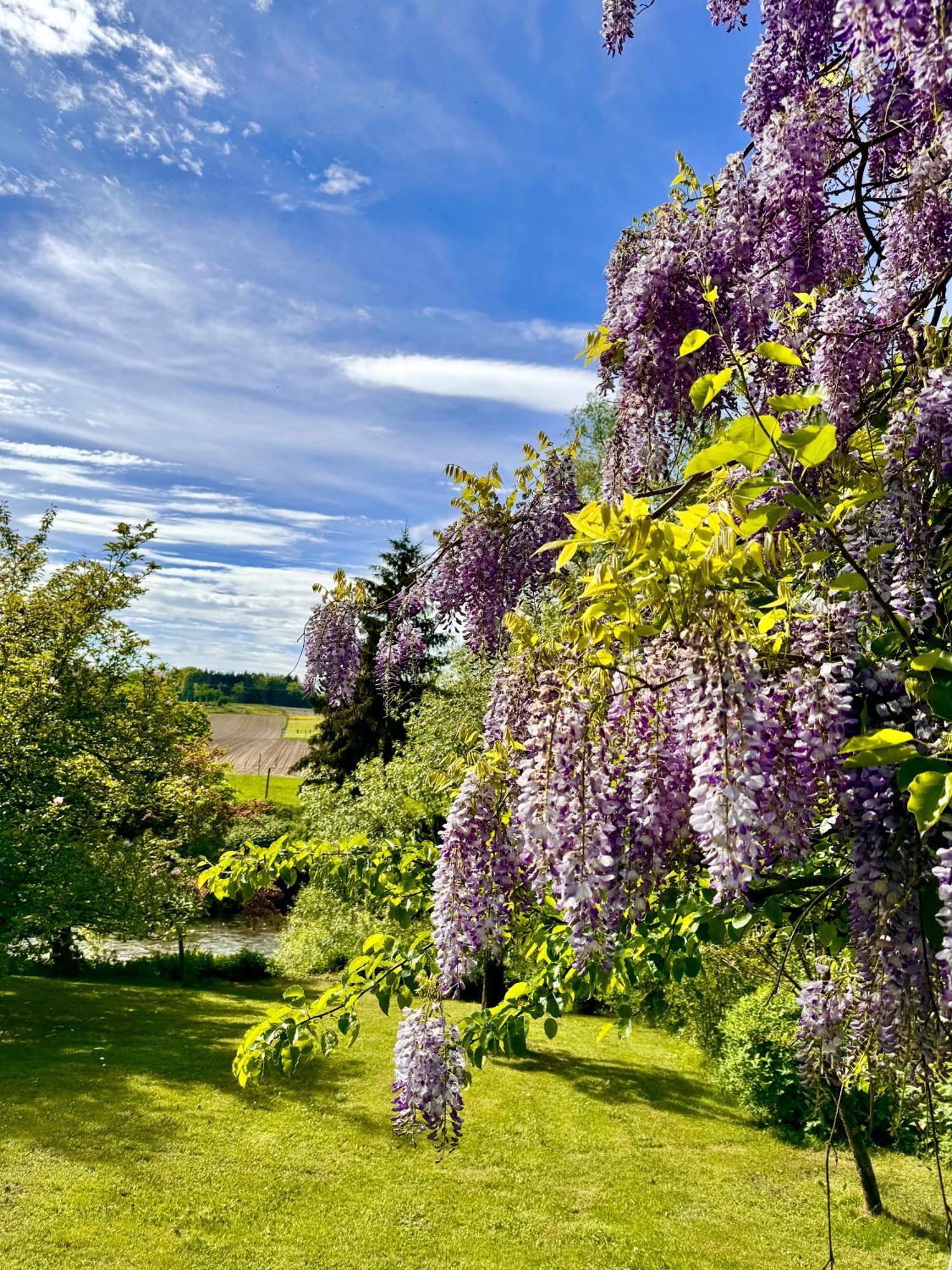 Am Flussgarten إيرسكيرش المظهر الخارجي الصورة