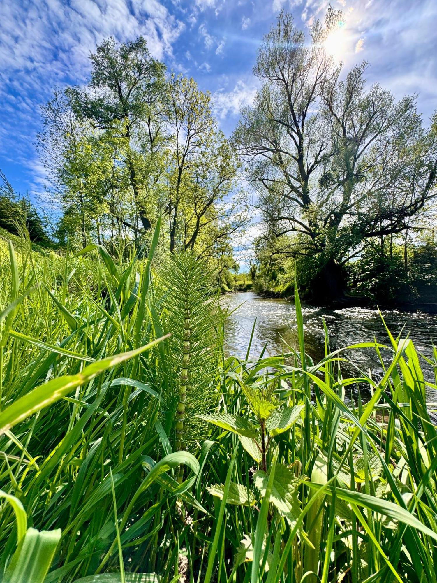 Am Flussgarten إيرسكيرش المظهر الخارجي الصورة